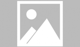 天麻豆的功效与作用,滋补养生，益智安神的天然良药