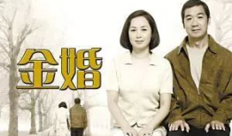 金婚电视剧全集免费,半个世纪的甜蜜见证